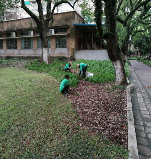 中山大学四墩楼周边环境改造案例分享