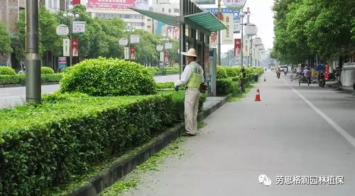 秋季园林绿化植物养护管理七件事